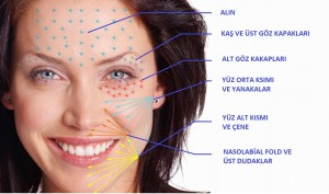 dermastamp