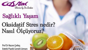 oksidatifstres