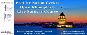 web-burun-estetigi-kurs-istanbul-2016